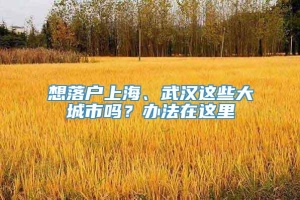 想落户上海、武汉这些大城市吗？办法在这里