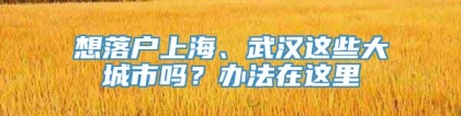 想落户上海、武汉这些大城市吗？办法在这里