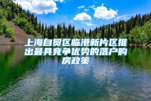 上海自贸区临港新片区推出最具竞争优势的落户购房政策