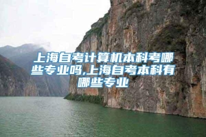 上海自考计算机本科考哪些专业吗,上海自考本科有哪些专业