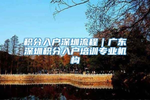 积分入户深圳流程｜广东深圳积分入户培训专业机构