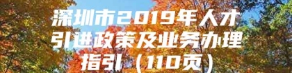 深圳市2019年人才引进政策及业务办理指引（110页）