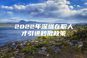 2022年深圳在职人才引进秒批政策