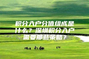 积分入户分值组成是什么？深圳积分入户需要那些策略？