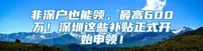 非深户也能领，最高600万！深圳这些补贴正式开始申领！