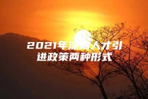 2021年深圳人才引进政策两种形式