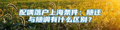 配偶落户上海条件：随迁与随调有什么区别？