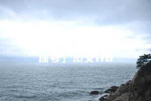 【深圳积分入户测评社保号】范文118