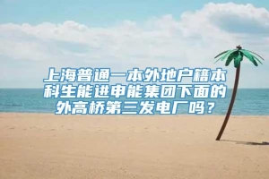 上海普通一本外地户籍本科生能进申能集团下面的外高桥第三发电厂吗？