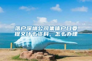 落户深圳公司集体户口要提交什么资料，怎么办理