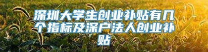 深圳大学生创业补贴有几个指标及深户法人创业补贴