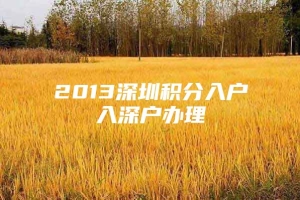 2013深圳积分入户入深户办理