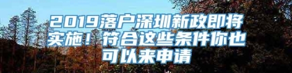 2019落户深圳新政即将实施！符合这些条件你也可以来申请