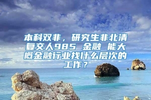 本科双非，研究生非北清复交人985 金融 能大概金融行业找什么层次的工作？