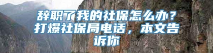 辞职了我的社保怎么办？打爆社保局电话，本文告诉你