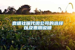 靠谱社保代缴公司的选择以及费用说明