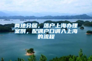 两地分居，落户上海办理案例，配偶户口调入上海的流程