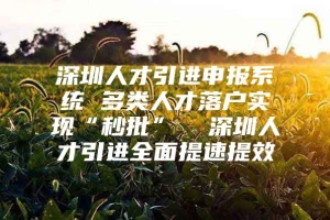 深圳人才引进申报系统 多类人才落户实现“秒批”  深圳人才引进全面提速提效