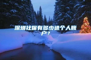 深圳社保有多少进个人账户？