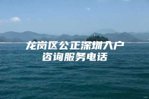 龙岗区公正深圳入户咨询服务电话