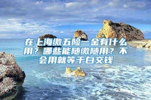 在上海缴五险一金有什么用？哪些能随缴随用？不会用就等于白交钱