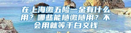 在上海缴五险一金有什么用？哪些能随缴随用？不会用就等于白交钱