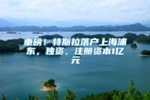 重磅！特斯拉落户上海浦东，独资，注册资本1亿元