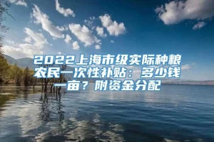 2022上海市级实际种粮农民一次性补贴：多少钱一亩？附资金分配