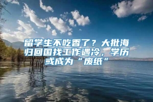 留学生不吃香了？大批海归回国找工作遇冷，学历或成为“废纸”