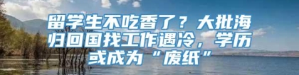 留学生不吃香了？大批海归回国找工作遇冷，学历或成为“废纸”