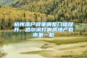 杭州落户政策调整门槛提升，哈尔滨打响房地产救市第一枪