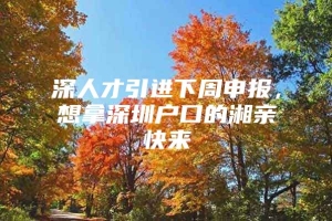 深人才引进下周申报，想拿深圳户口的湘亲快来