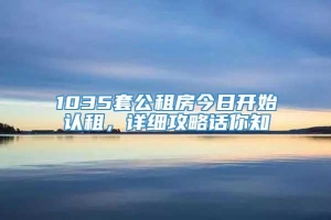 1035套公租房今日开始认租，详细攻略话你知