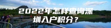 2022年怎样查询深圳入户积分？