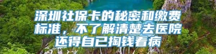 深圳社保卡的秘密和缴费标准，不了解清楚去医院还得自已掏钱看病