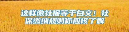 这样缴社保等于白交！社保缴纳规则你应该了解