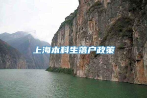 上海本科生落户政策