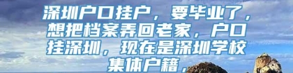 深圳户口挂户，要毕业了，想把档案弄回老家，户口挂深圳，现在是深圳学校集体户籍，