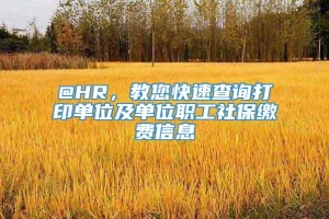 @HR，教您快速查询打印单位及单位职工社保缴费信息