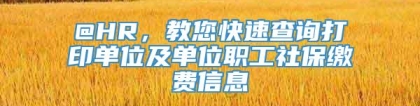 @HR，教您快速查询打印单位及单位职工社保缴费信息