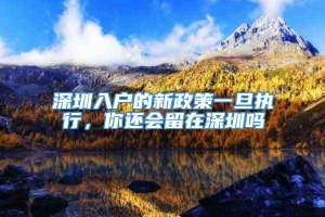 深圳入户的新政策一旦执行，你还会留在深圳吗