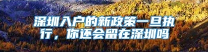 深圳入户的新政策一旦执行，你还会留在深圳吗