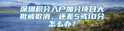 深圳积分入户加分项目大批被取消，还差5或10分怎么办？