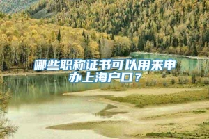 哪些职称证书可以用来申办上海户口？