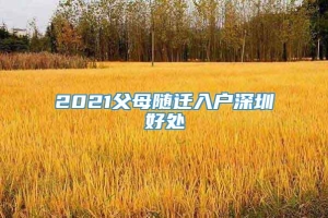 2021父母随迁入户深圳好处