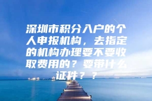 深圳市积分入户的个人申报机构，去指定的机构办理要不要收取费用的？要带什么证件？？