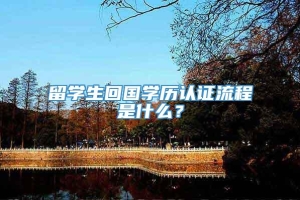 留学生回国学历认证流程是什么？