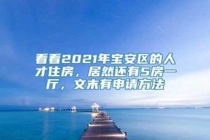 看看2021年宝安区的人才住房，居然还有5房一厅，文末有申请方法