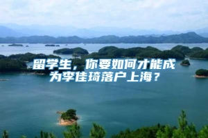 留学生，你要如何才能成为李佳琦落户上海？