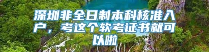 深圳非全日制本科核准入户，考这个软考证书就可以啦